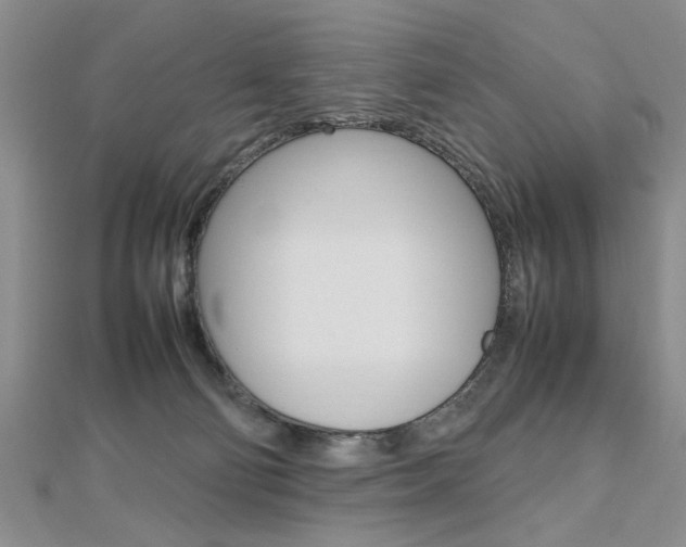 X0000112470130200908170958