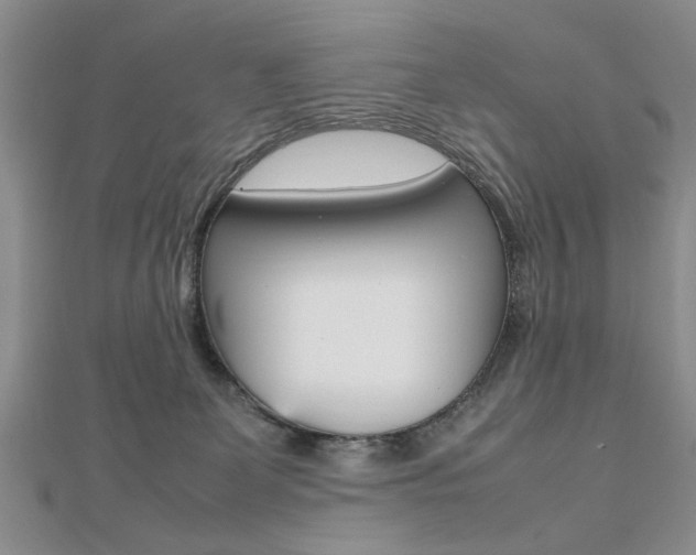 X0000112470131200908170958