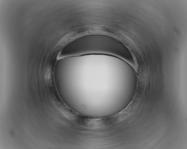 X0000112470132200908170958