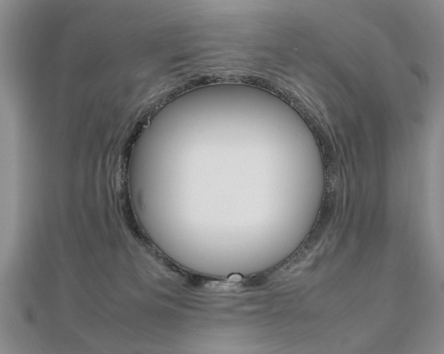 X0000112470133200908170958