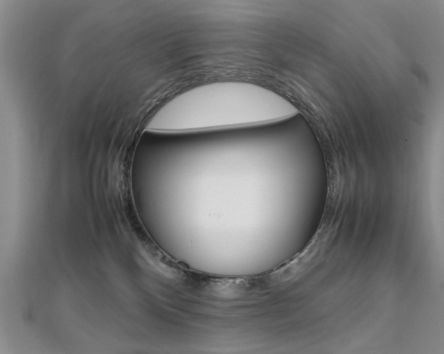 X0000112470136200908170958