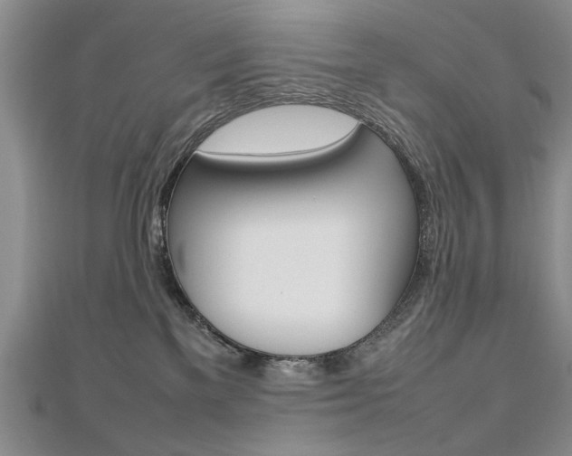 X0000112470137200908170958