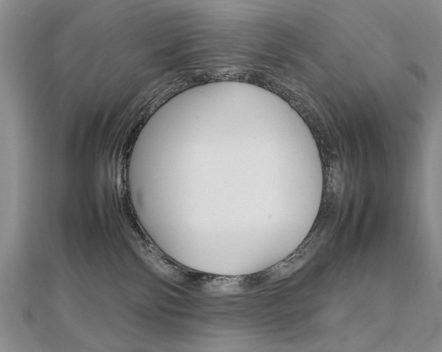X0000112470138200908170958