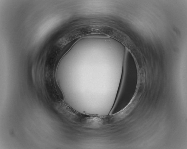 X0000112470140200908170958