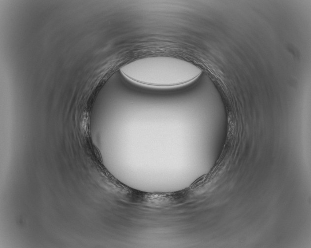 X0000112470141200908170958
