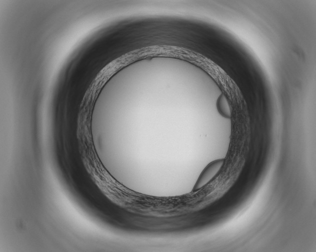 X0000112470142200908170958