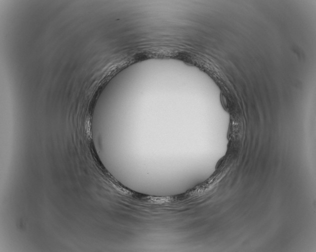 X0000112470143200908170958