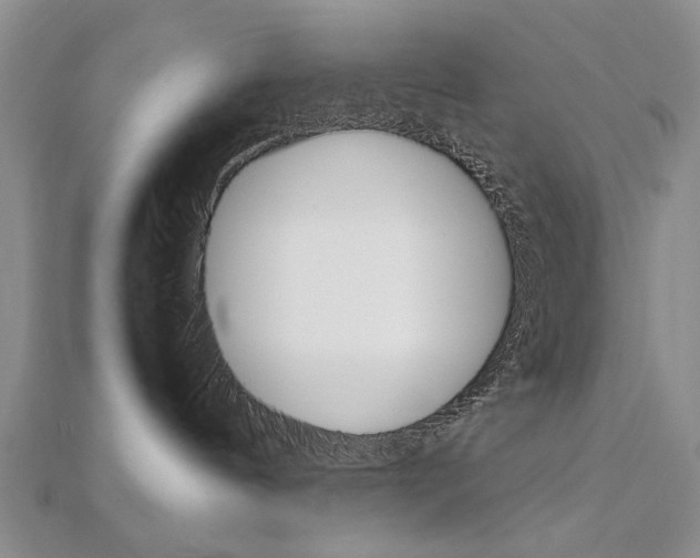 X0000112470144200908170958