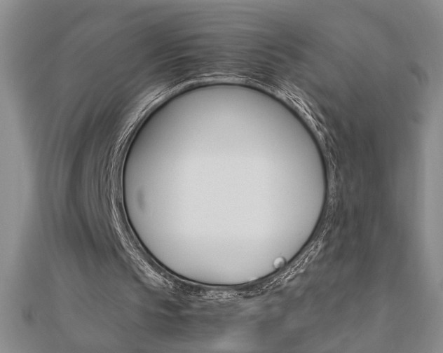X0000112470145200908170958
