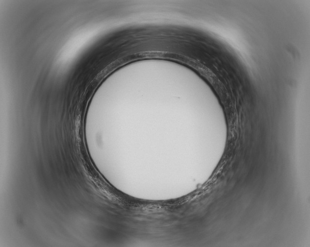 X0000112470146200908170958