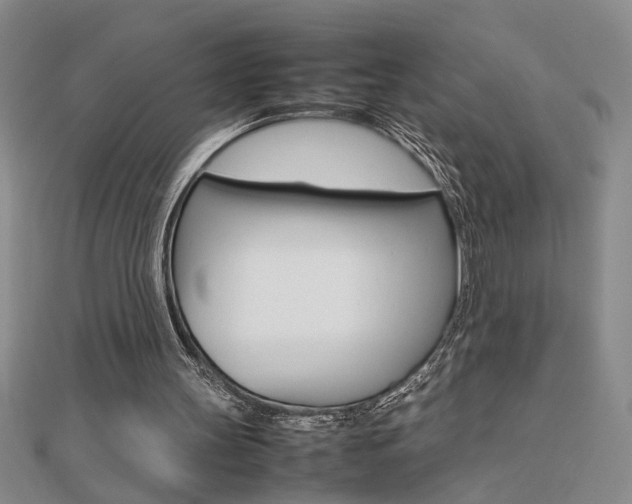 X0000112470147200908170958