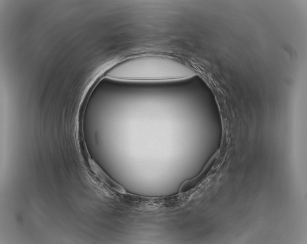 X0000112470148200908170958