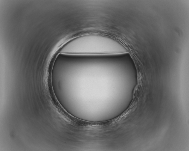 X0000112470150200908170958