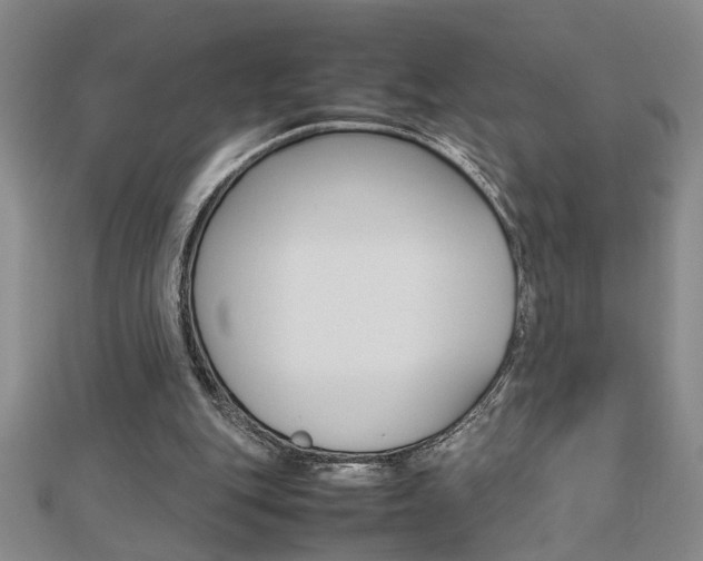 X0000112470151200908170958