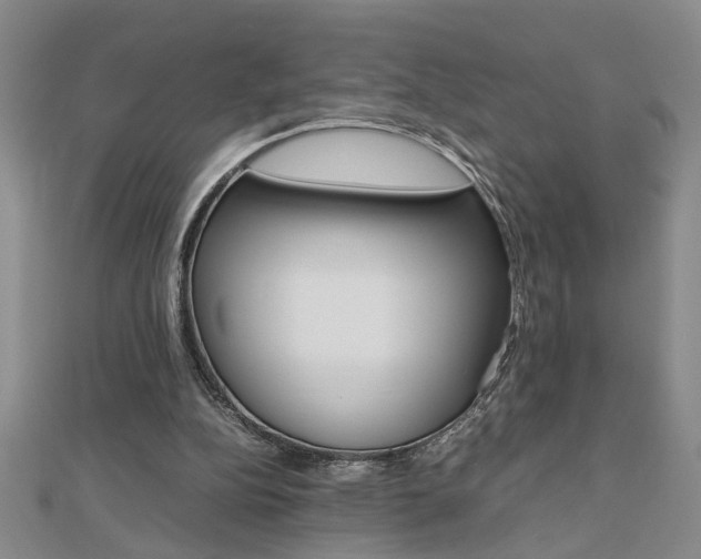 X0000112470152200908170958