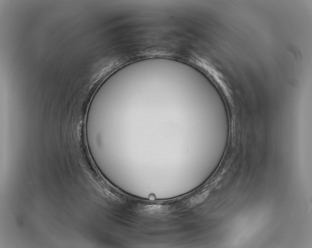 X0000112470153200908170958