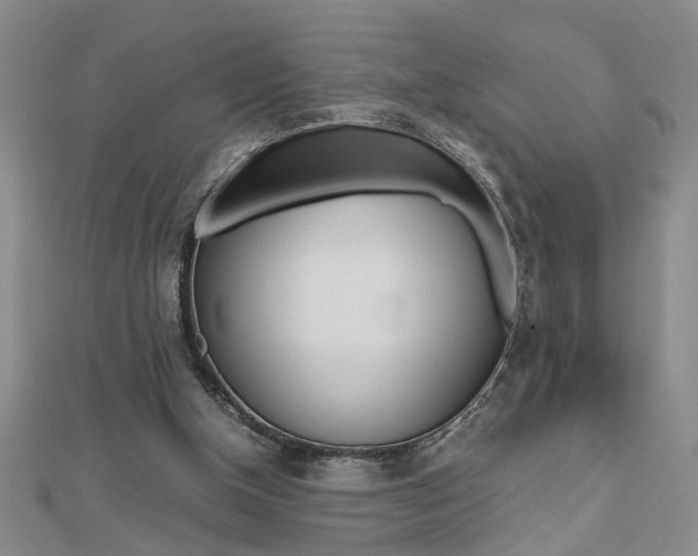 X0000112470154200908170958
