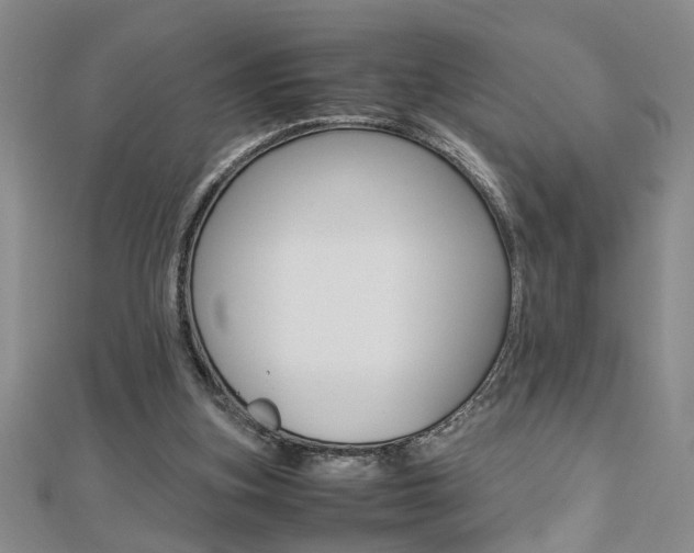 X0000112470155200908170958