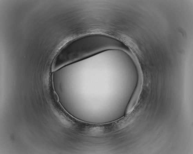 X0000112470156200908170958