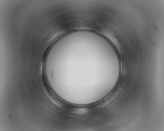 X0000112470157200908170958