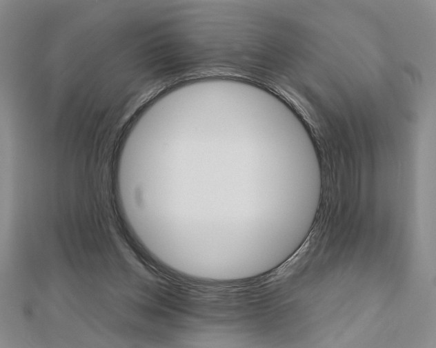X0000112470158200908170958