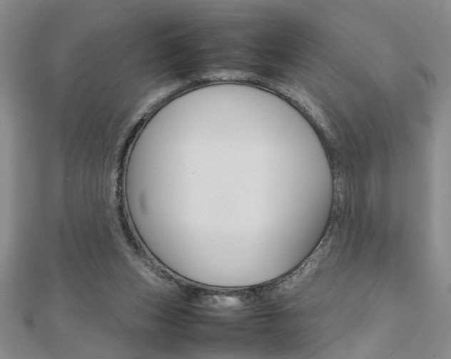 X0000112470159200908170958