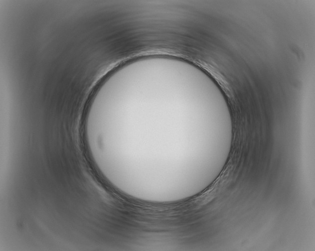 X0000112470160200908170958