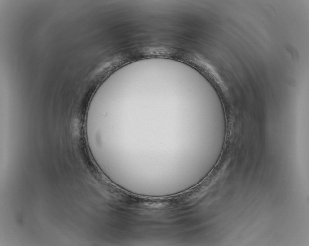 X0000112470161200908170958