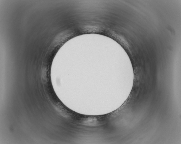 X0000112470162200908170958