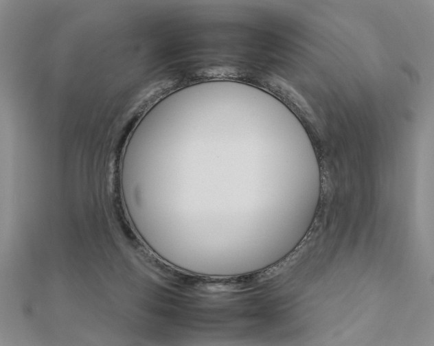 X0000112470163200908170958