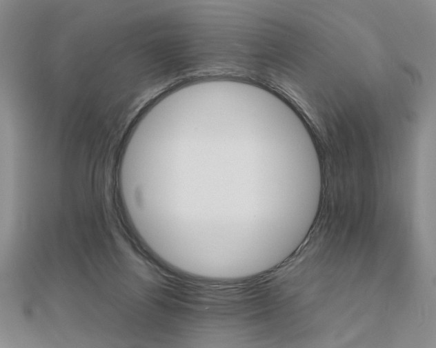 X0000112470164200908170958