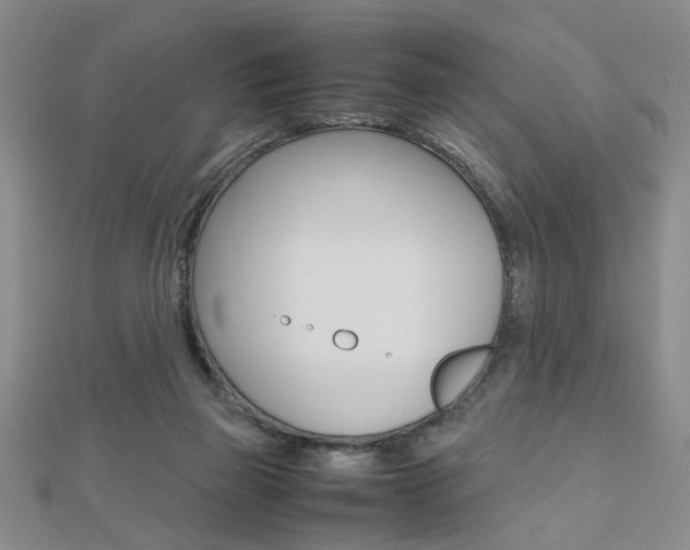 X0000112470165200908170958