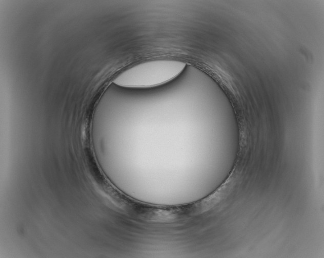 X0000112470166200908170958