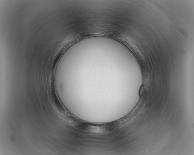 X0000112470167200908170958