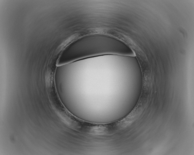 X0000112470168200908170958