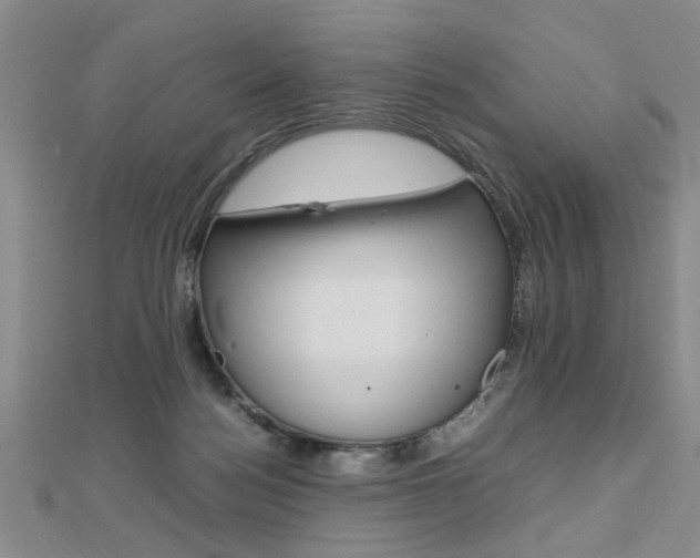 X0000112470172200908170958