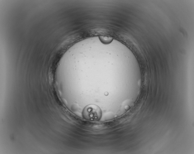 X0000112470173200908170958