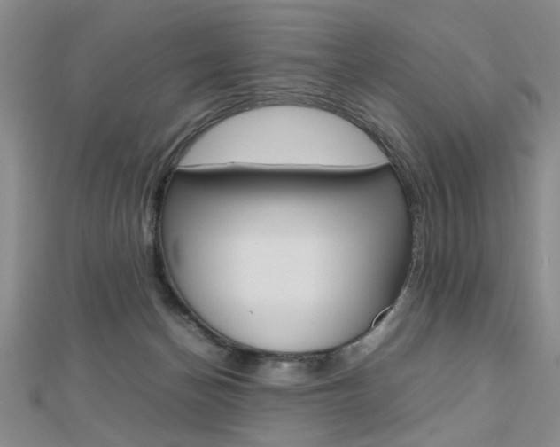 X0000112470174200908170958