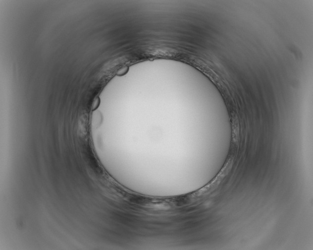 X0000112470175200908170958