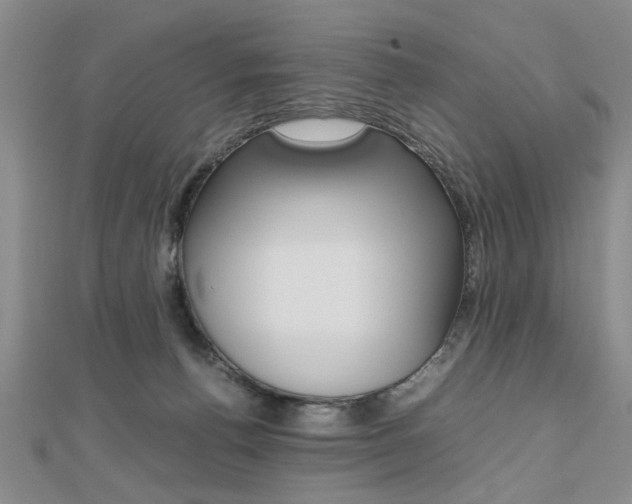 X0000112470176200908170958