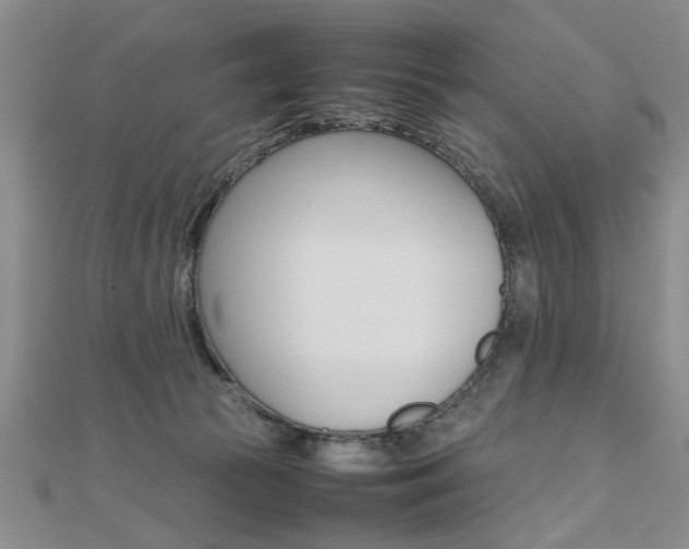 X0000112470177200908170958