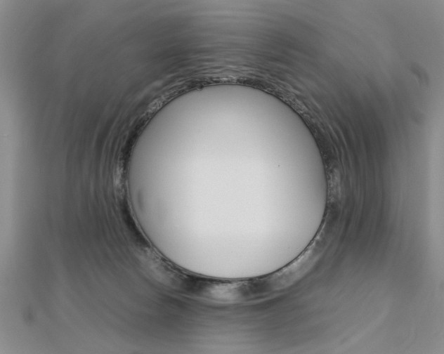 X0000112470178200908170958