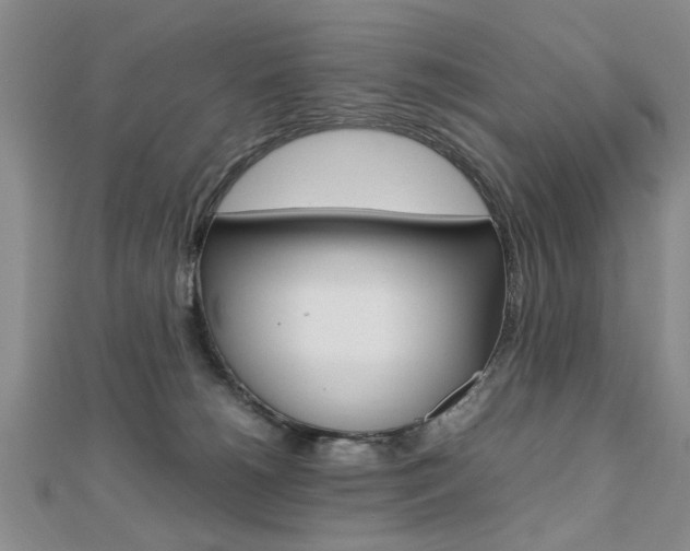 X0000112470180200908170958