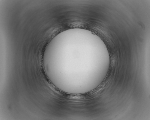 X0000112470181200908170958
