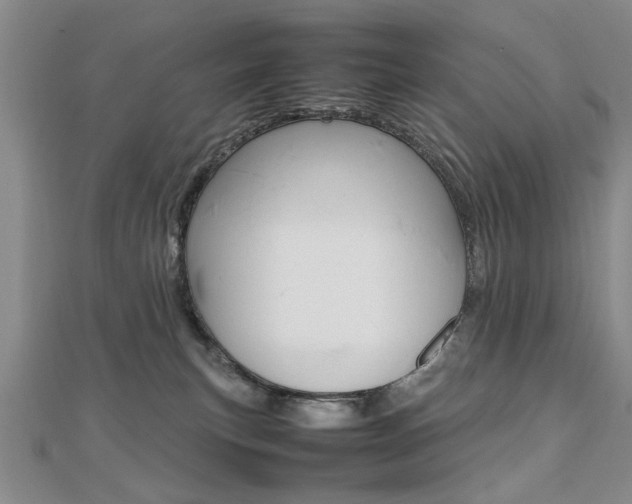 X0000112470183200908170958