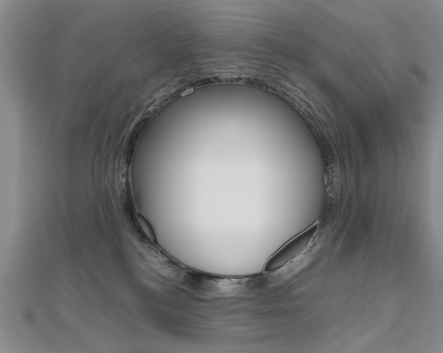 X0000112470184200908170958