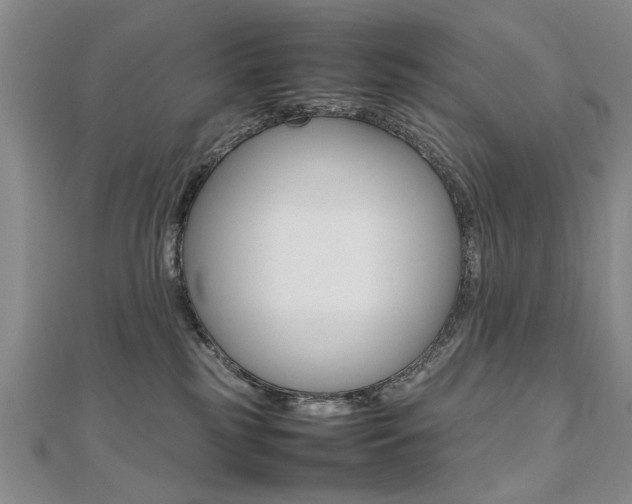 X0000112470185200908170958