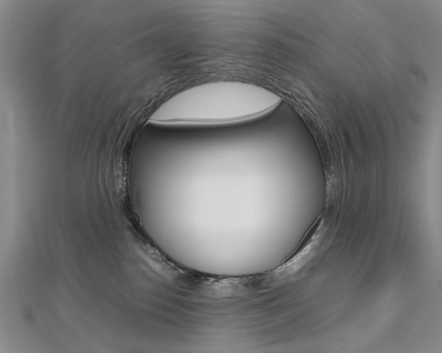 X0000112470186200908170958