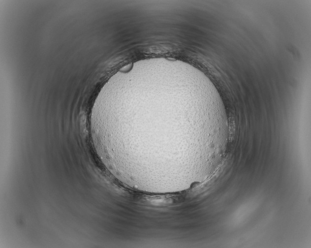 X0000112470187200908170958