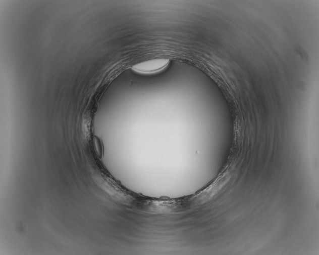 X0000112470188200908170958